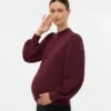 Regular Fit High Neck Balloon Sleeves Pullover