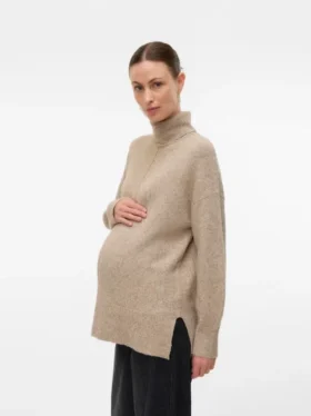 Regular Fit Roll Neck Pullover