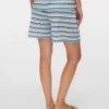 Regular Fit Shorts