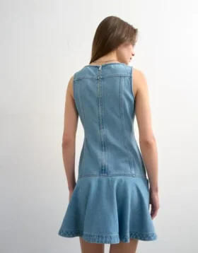Tselara Short Dress